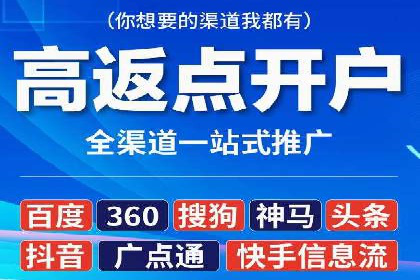 电商SEM推广案例解析
